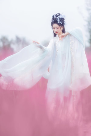 一路向西国语在线观看